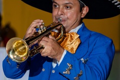 DSC09104