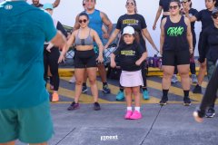 N0017527
