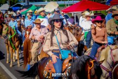 IMG_8984