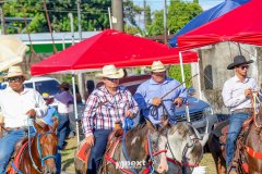 IMG_9240