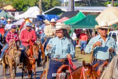 IMG_9246