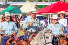 IMG_9247