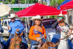 IMG_9253