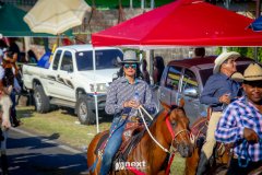 IMG_9352