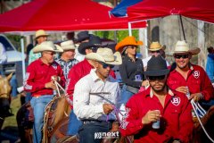 IMG_9382