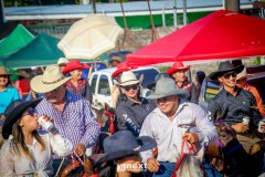 IMG_9530