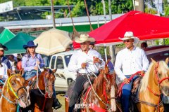 IMG_9590