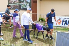 IMG_8753