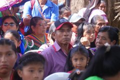 IMG_7250