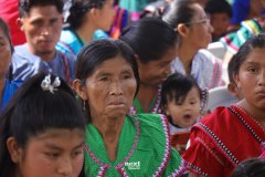 IMG_7252