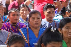IMG_7253