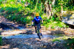 IMG_6323