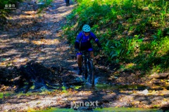 IMG_6401