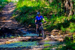 IMG_6430