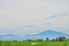 DSC0548