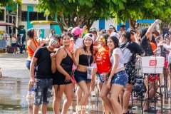MG_7537