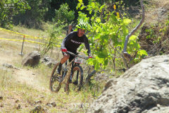 IMG_3986