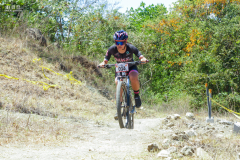 IMG_4294