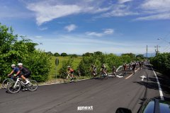 DSC07950