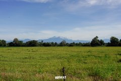 DSC08076