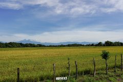 DSC08088