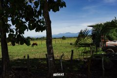 DSC08094