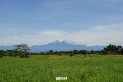 DSC08097