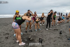 IMG_8651