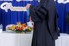 N0013161