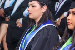 N0013317