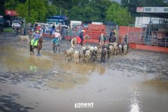 IMG_5782