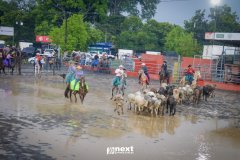 IMG_5784